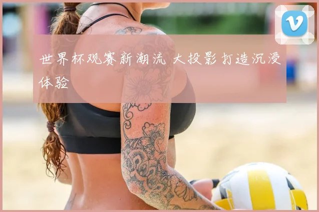 世界杯观赛新潮流 大投影打造沉浸体验