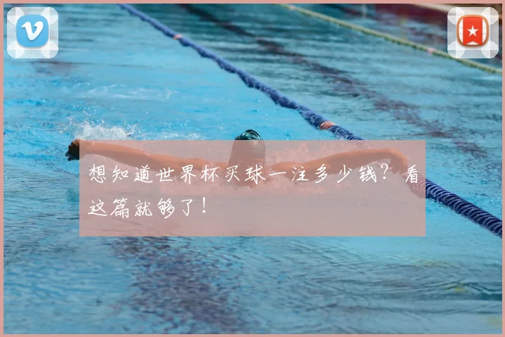想知道世界杯买球一注多少钱？看这篇就够了！