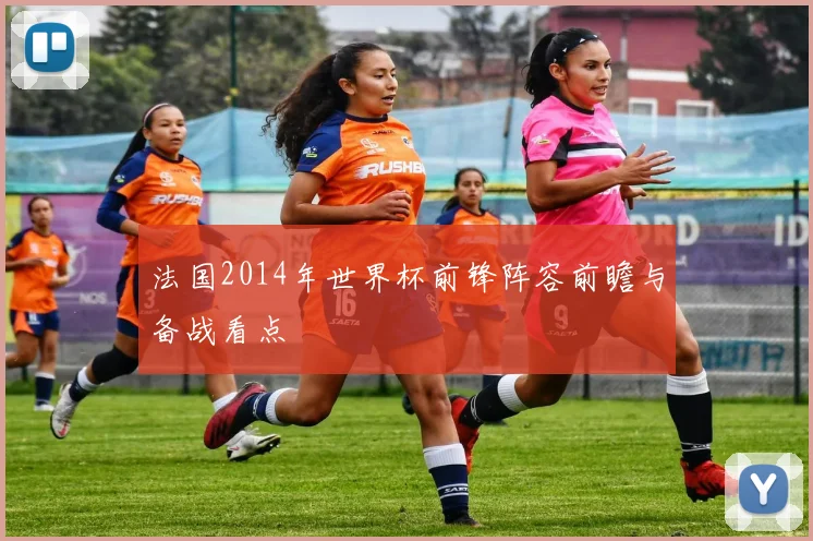 法国2014年世界杯前锋阵容前瞻与备战看点