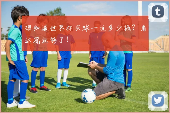想知道世界杯买球一注多少钱?看这篇就够了!
