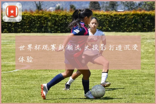 世界杯观赛新潮流 大投影打造沉浸体验