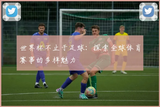 世界杯不止于足球:探索全球体育赛事的多样魅力