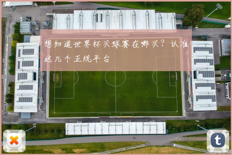 想知道世界杯买球赛在哪买?认准这几个正规平台