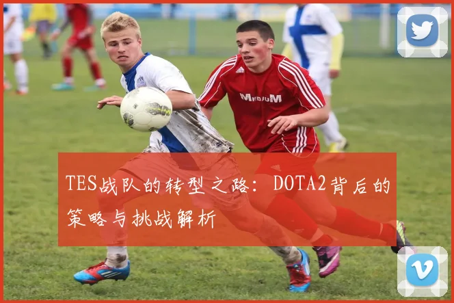 TES战队的转型之路：DOTA2背后的策略与挑战解析