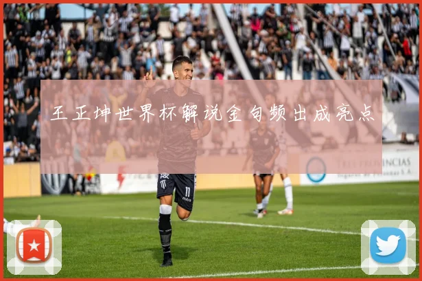 王正坤世界杯解说金句频出成亮点
