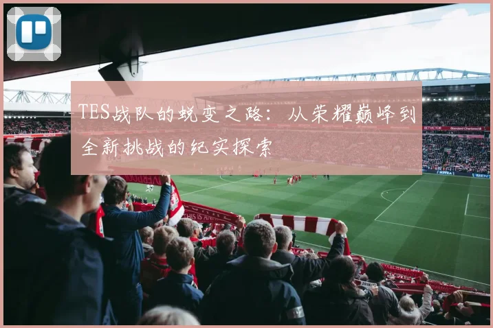 TES战队的蜕变之路：从荣耀巅峰到全新挑战的纪实探索