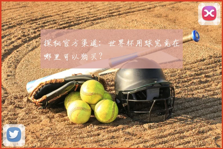 探秘官方渠道:世界杯用球究竟在哪里可以购买?