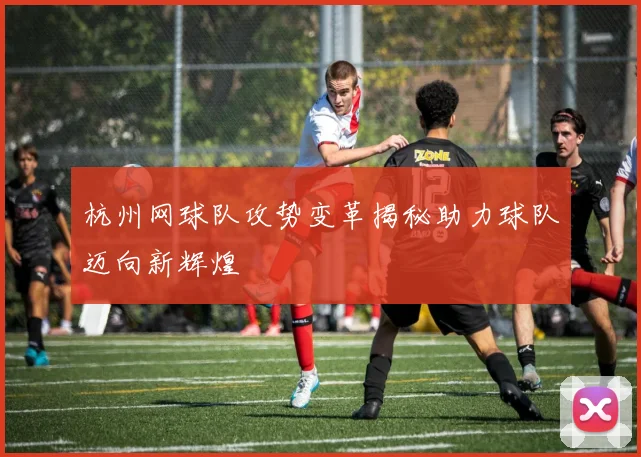 杭州网球队攻势变革揭秘助力球队迈向新辉煌