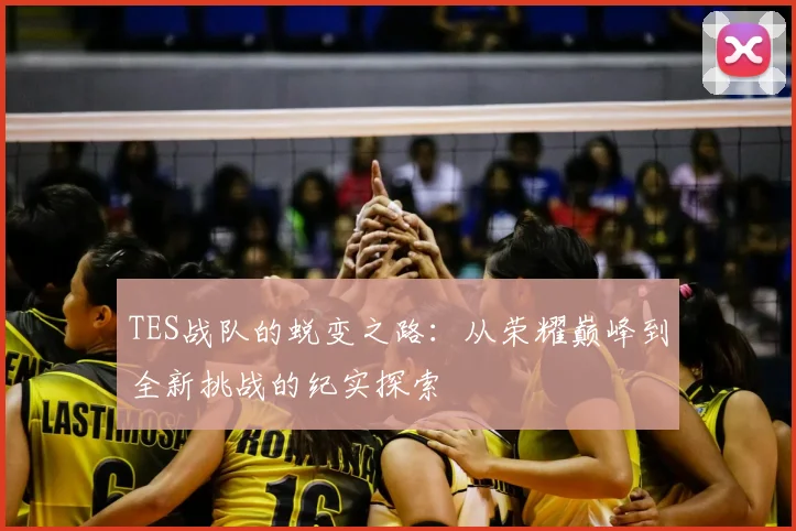 TES战队的蜕变之路：从荣耀巅峰到全新挑战的纪实探索