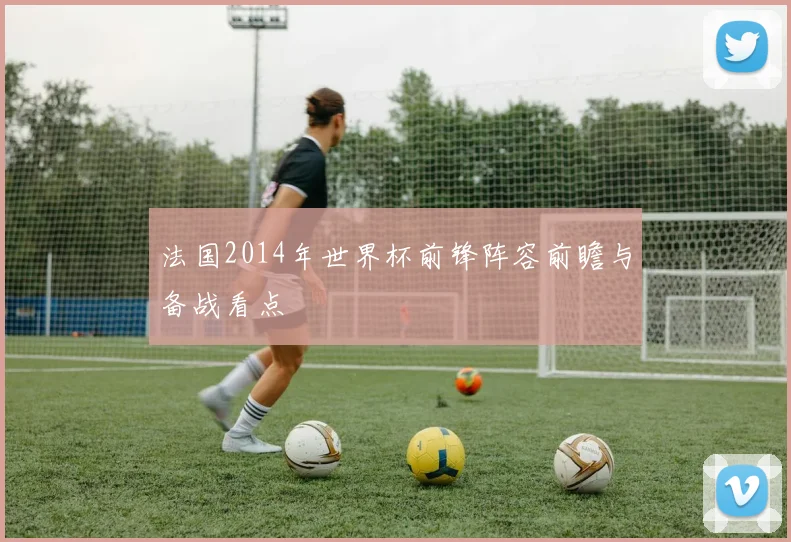法国2014年世界杯前锋阵容前瞻与备战看点