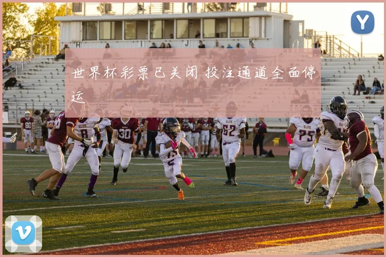 世界杯彩票已关闭 投注通道全面停运