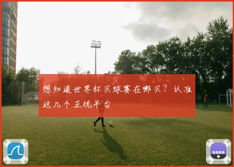 想知道世界杯买球赛在哪买？认准这几个正规平台