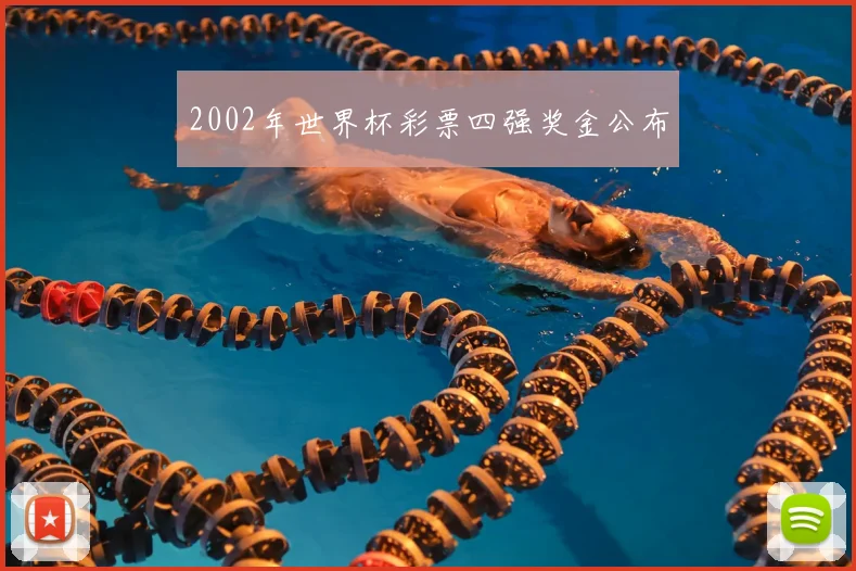 2002年世界杯彩票四强奖金公布