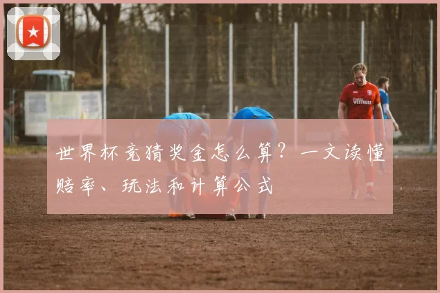 世界杯竞猜奖金怎么算？一文读懂赔率、玩法和计算公式
